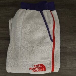 The North Face Fleece Colorblock Sweatpants